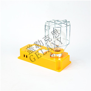 ��������������޵�